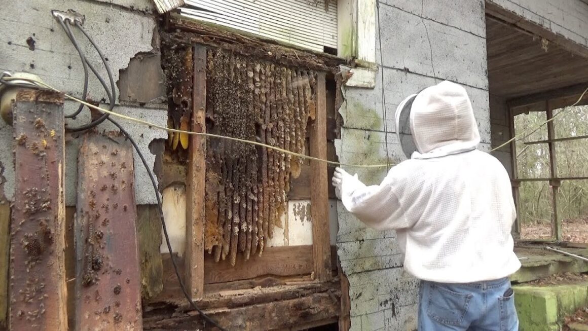 How to Make Your Yard Less Inviting to Bee Colonies Naturally