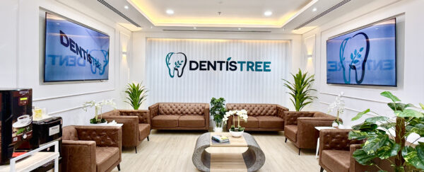Understanding Services at the Best Dentist Clinic in Dubai